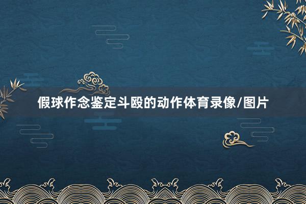 假球作念鉴定斗殴的动作体育录像/图片
