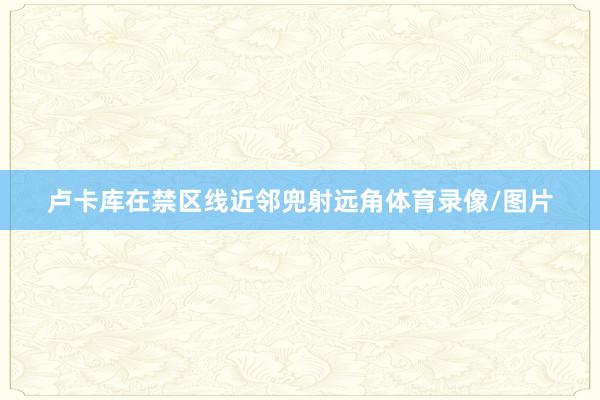 卢卡库在禁区线近邻兜射远角体育录像/图片