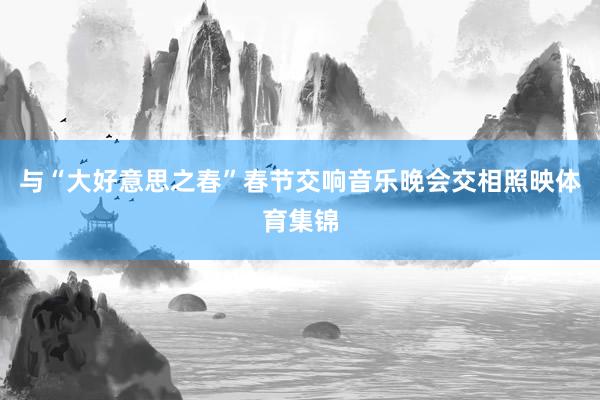 与“大好意思之春”春节交响音乐晚会交相照映体育集锦