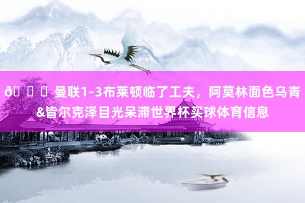 😞曼联1-3布莱顿临了工夫，阿莫林面色乌青&皆尔克泽目光呆滞世界杯买球体育信息