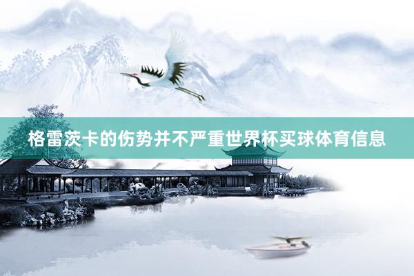 格雷茨卡的伤势并不严重世界杯买球体育信息
