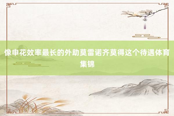 像申花效率最长的外助莫雷诺齐莫得这个待遇体育集锦
