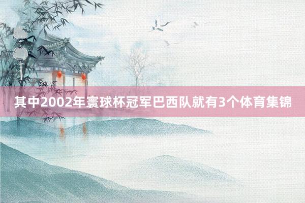 其中2002年寰球杯冠军巴西队就有3个体育集锦
