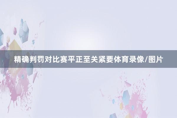精确判罚对比赛平正至关紧要体育录像/图片