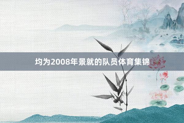 均为2008年景就的队员体育集锦