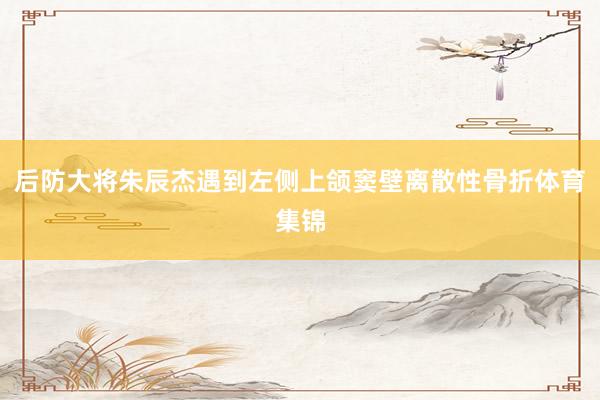 后防大将朱辰杰遇到左侧上颌窦壁离散性骨折体育集锦