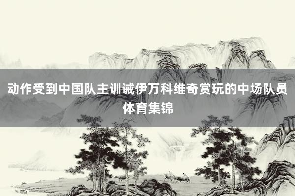 动作受到中国队主训诫伊万科维奇赏玩的中场队员体育集锦