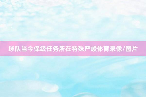 球队当今保级任务所在特殊严峻体育录像/图片