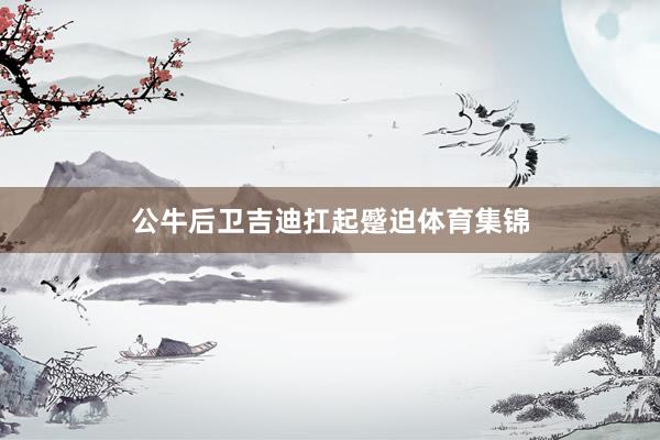 公牛后卫吉迪扛起蹙迫体育集锦