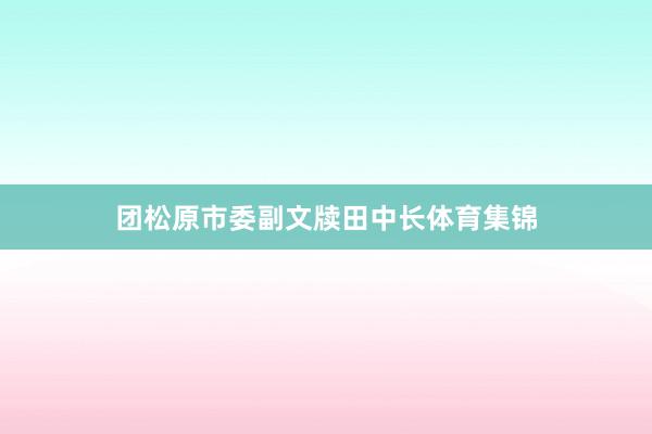 团松原市委副文牍田中长体育集锦