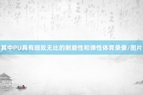 其中PU具有细致无比的耐磨性和弹性体育录像/图片
