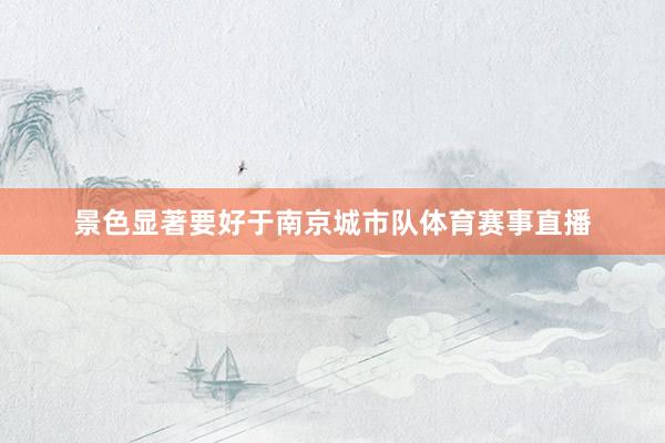景色显著要好于南京城市队体育赛事直播