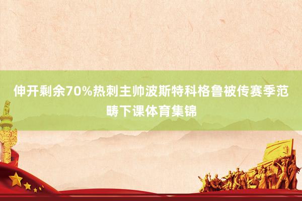 伸开剩余70%热刺主帅波斯特科格鲁被传赛季范畴下课体育集锦