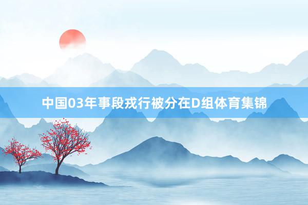 中国03年事段戎行被分在D组体育集锦