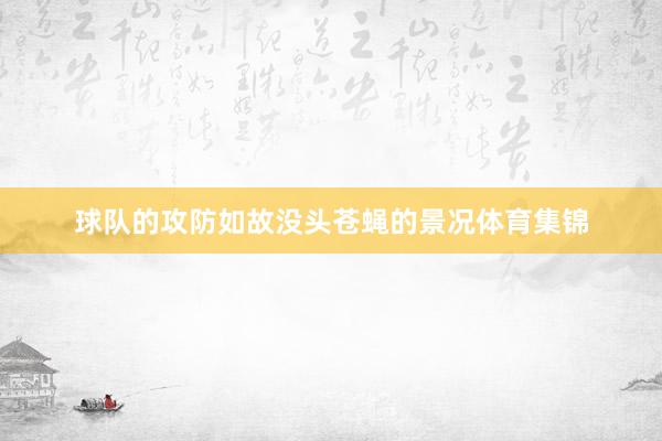 球队的攻防如故没头苍蝇的景况体育集锦