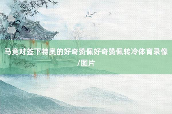 马竞对签下特奥的好奇赞佩好奇赞佩转冷体育录像/图片