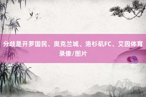 分歧是开罗国民、奥克兰城、洛杉矶FC、艾因体育录像/图片