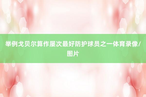 举例戈贝尔算作屡次最好防护球员之一体育录像/图片