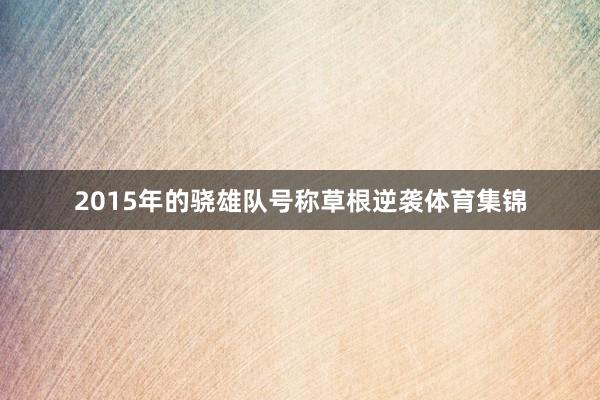 2015年的骁雄队号称草根逆袭体育集锦