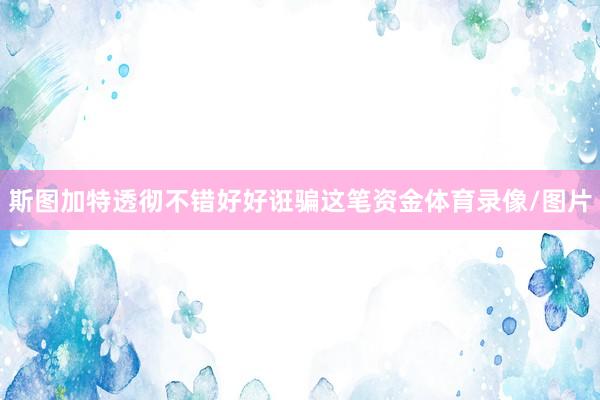 斯图加特透彻不错好好诳骗这笔资金体育录像/图片