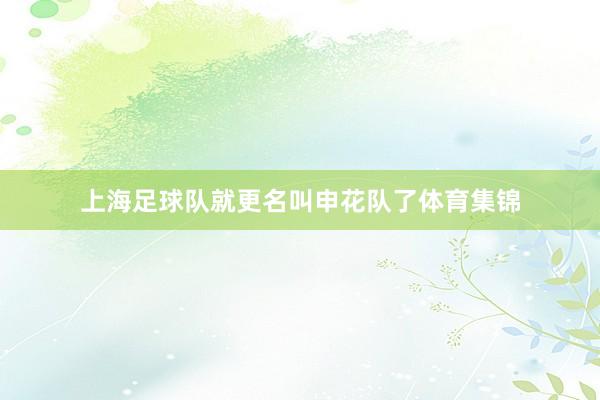 上海足球队就更名叫申花队了体育集锦
