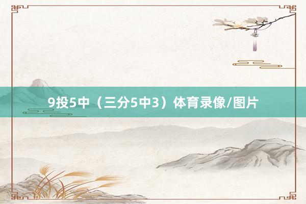9投5中（三分5中3）体育录像/图片