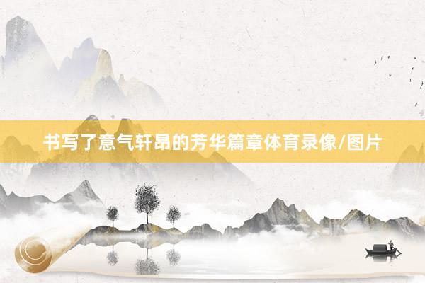 书写了意气轩昂的芳华篇章体育录像/图片