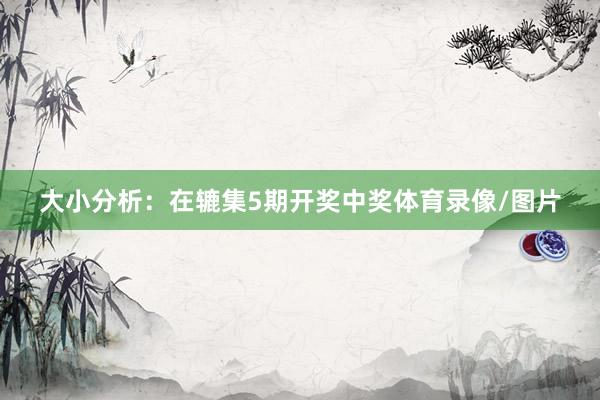 大小分析：在辘集5期开奖中奖体育录像/图片