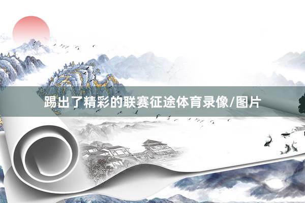 踢出了精彩的联赛征途体育录像/图片