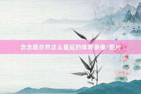 念念路亦然这么蔓延的体育录像/图片
