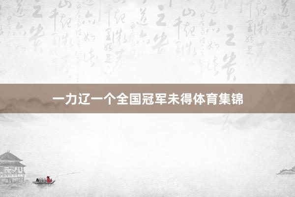 一力辽一个全国冠军未得体育集锦