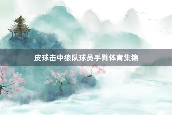 皮球击中狼队球员手臂体育集锦