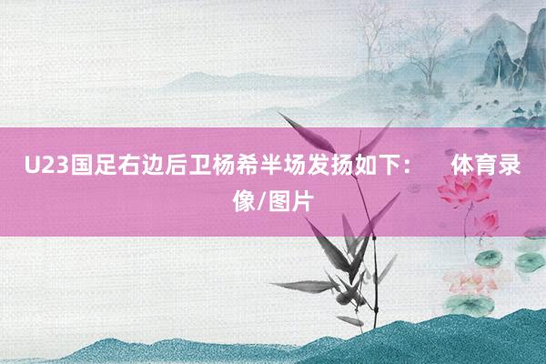 U23国足右边后卫杨希半场发扬如下：    体育录像/图片