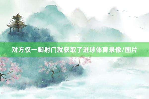对方仅一脚射门就获取了进球体育录像/图片