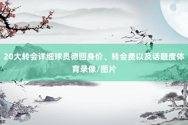 20大转会详细球员德回身价、转会费以及话题度体育录像/图片