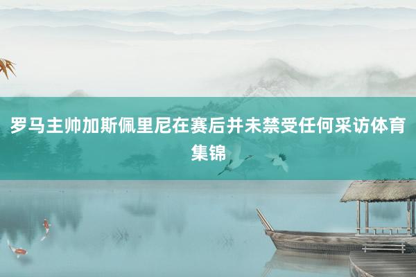 罗马主帅加斯佩里尼在赛后并未禁受任何采访体育集锦