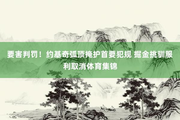 要害判罚！约基奇弧顶掩护首要犯规 掘金挑驯服利取消体育集锦