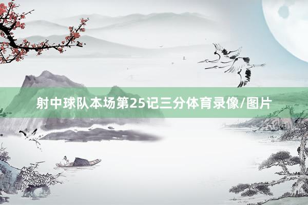 射中球队本场第25记三分体育录像/图片
