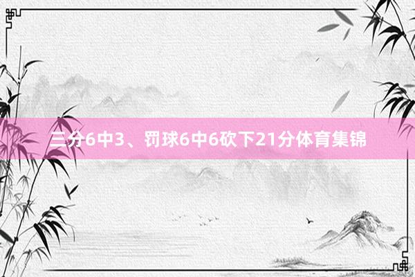 三分6中3、罚球6中6砍下21分体育集锦