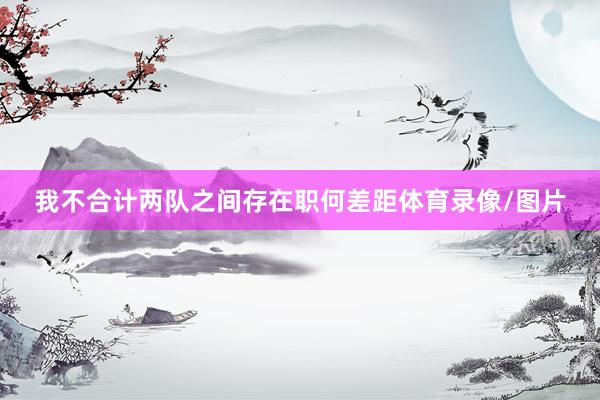 我不合计两队之间存在职何差距体育录像/图片