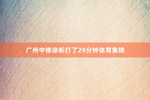 广州中锋徐昕打了29分钟体育集锦