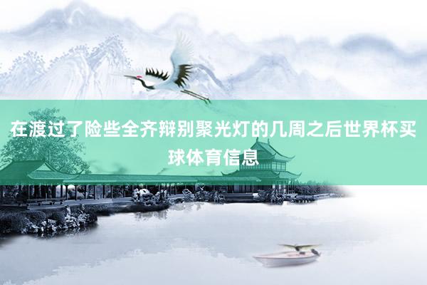 在渡过了险些全齐辩别聚光灯的几周之后世界杯买球体育信息