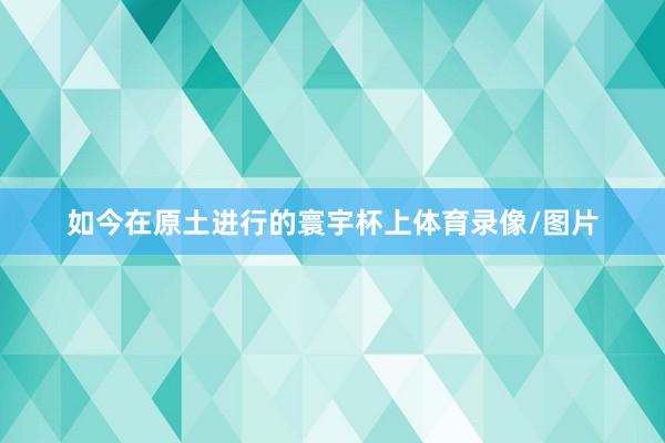如今在原土进行的寰宇杯上体育录像/图片